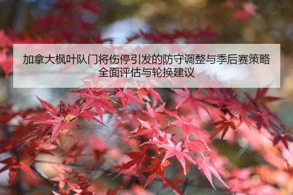 加拿大枫叶队门将伤停引发的防守调整与季后赛策略全面评估与轮换建议
